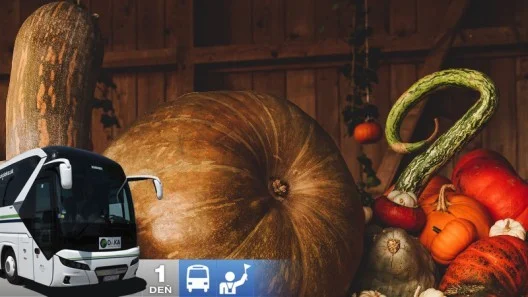 Tekvicové slávnosti s ochutnávkou vína