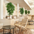 Tent Torremolinos