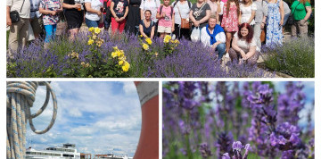 Levanduľové týždne v Tihany
