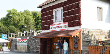 Levanduľové týždne v Tihany