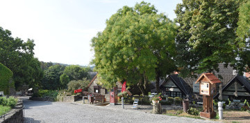 Levanduľové týždne v Tihany