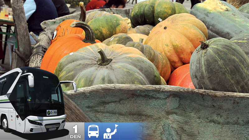 Tekvicové slávnosti s ochutnávkou vína