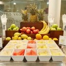 Sercotel Tribuna Malaga