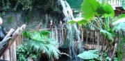 Zájazd do Budapešti s návštevou Tropicaria Oceanaria