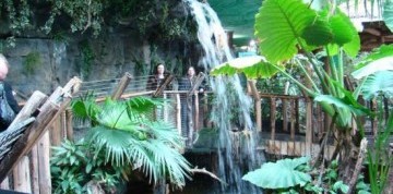Zájazd do Budapešti s návštevou Tropicaria Oceanaria