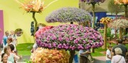 Výstava kvetov Tulln