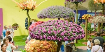 Výstava kvetov Tulln