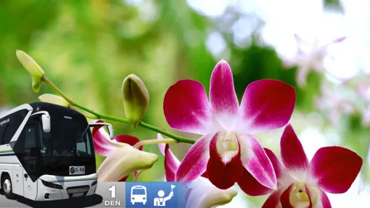 Za orchideami a krásami slovinského Pomurja