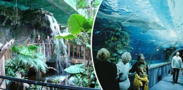 Zájazd do Budapešti s návštevou Tropicaria Oceanaria