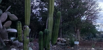 Mexiko a tajuplný Yucatán