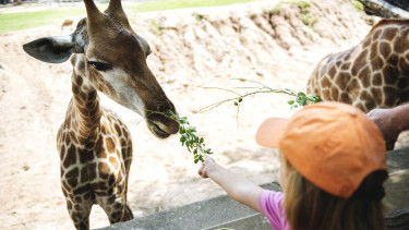 Ktoré zoo patria k najkrajším v Európe a oplatí sa ich vidieť?