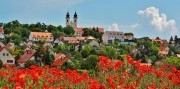 Kúpanie na Balatone, levanduľa a víno