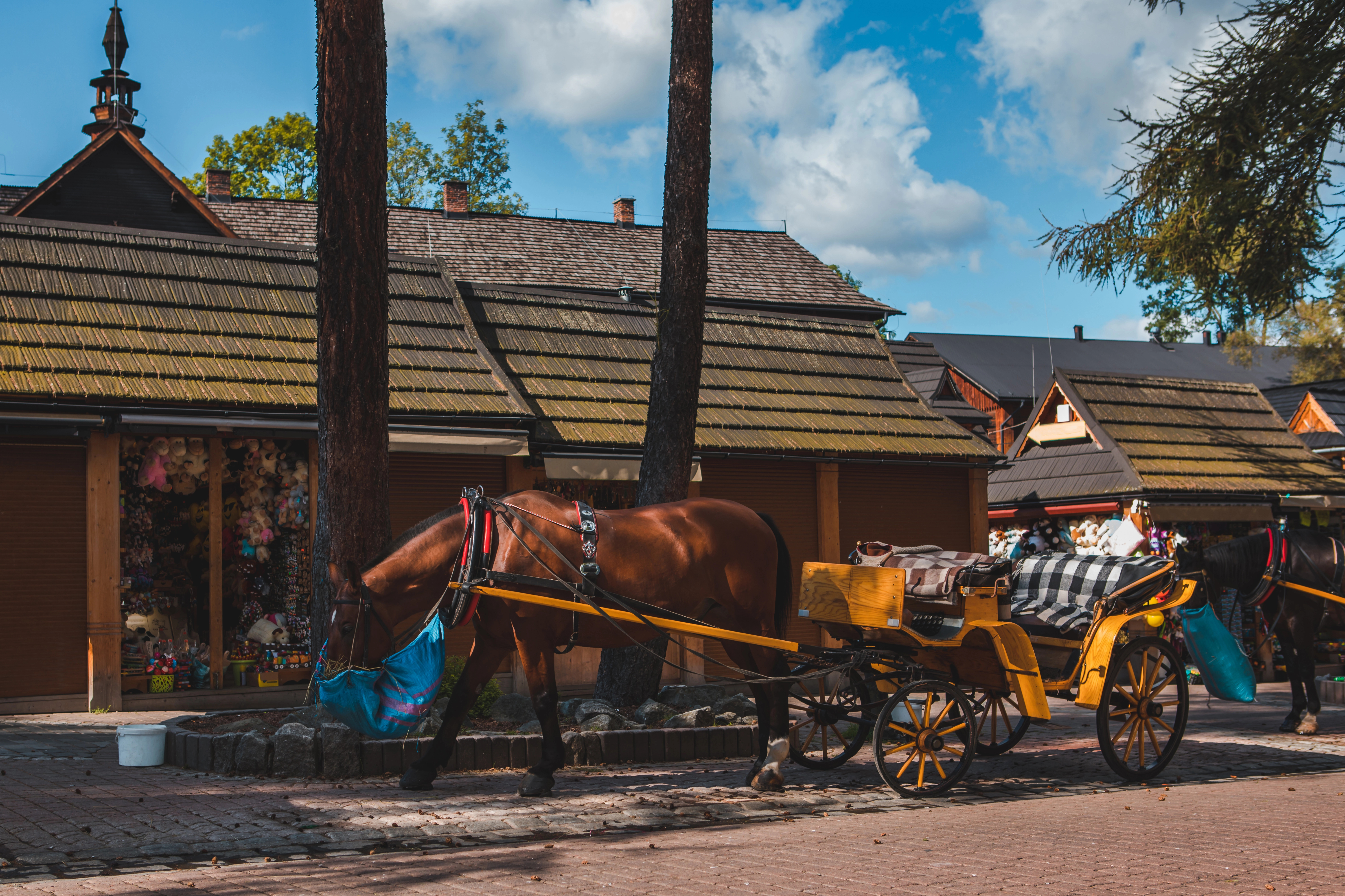 1-dňový zájazd do mestečka Zakopane.