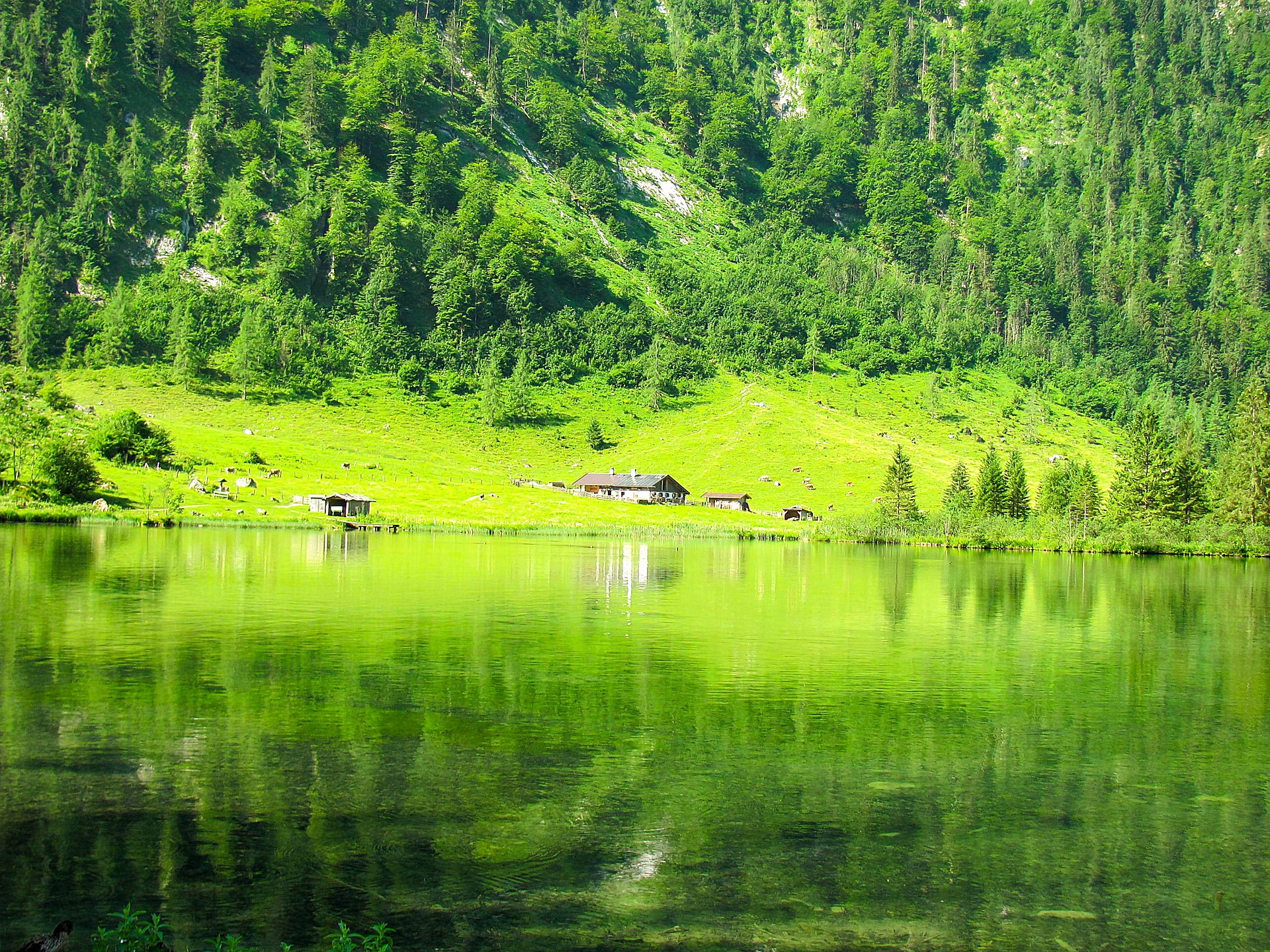 Rakúske a bavorské Alpy - Salzburg, Hallstatt a Königssee.