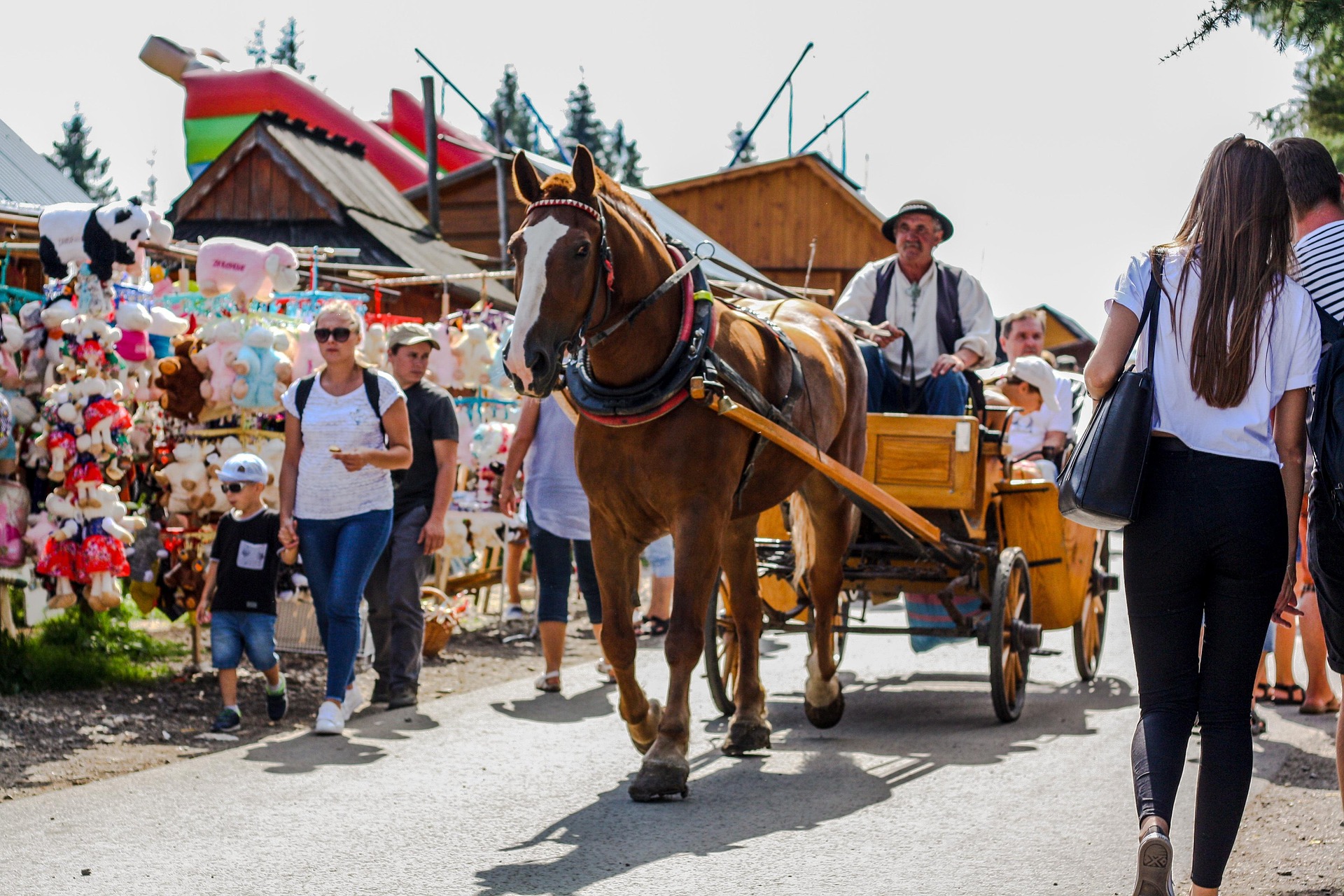 1-dňový zájazd do mestečka Zakopane.
