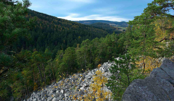 Čertova stena v Južných Čechách, obľúbená skalná oblasť mnohých turistov.