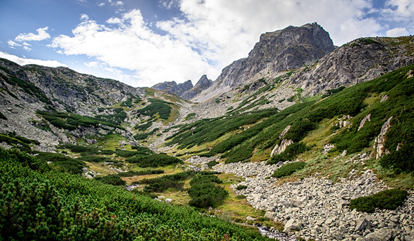 Kamenistá turistická trasa obklopená sviežou zelenou kosodrevinou a strmými skalnatými štítmi predstavuje drsnú horskú krásu Chochołowskej doliny v poľských Tatrách.