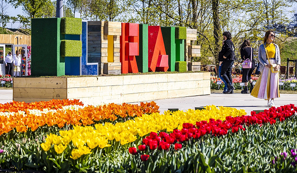  Na výstave kvetov Floriade Expo v Holandsku sa môžu návštevníci pozrieť na obrovské množstvo tulipánov v rôznych odtieňoch a ich variáciách.