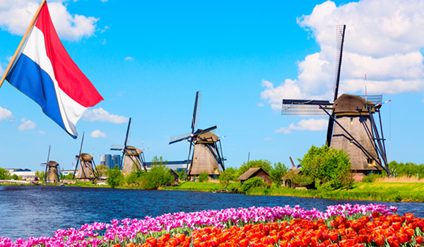 Scenéria Holandska v Kinderdijku: Tradičné veterné mlyny lemujú vodný kanál s vlajkou Holandska v popredí a poliami farebných tulipánov.