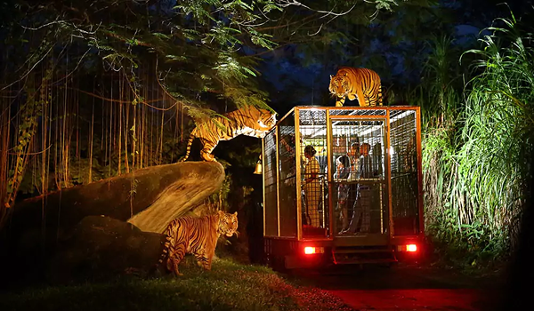 Night Safari Singapur je prvou nočnou zoologickou záhradou na svete.
