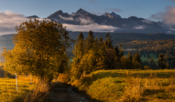 Jesenná scenéria Vysokých Tatier s lúkami a farebnými stromami, kde nad ostrými skalnatými vrcholmi plávajú ranné oblaky.