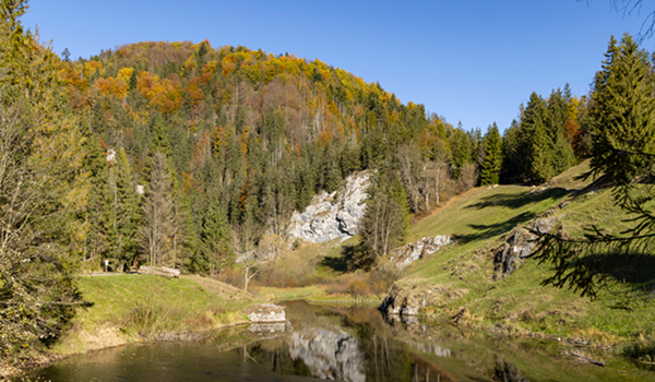 Nádherná jesenná scenéria Slovenského raja s hustými lesmi, skalnými útvarmi a malou vodnou plochou pod jasnou oblohou.