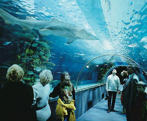 Tropikárium a oceanárium v Budapešti