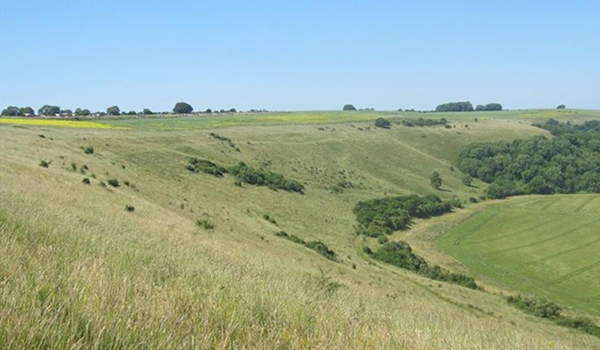 Milovníci prírody si počas návštevy Stonehenge môžu urobiť výlet aj do kopcovitej oblasti Wiltshire Downs.