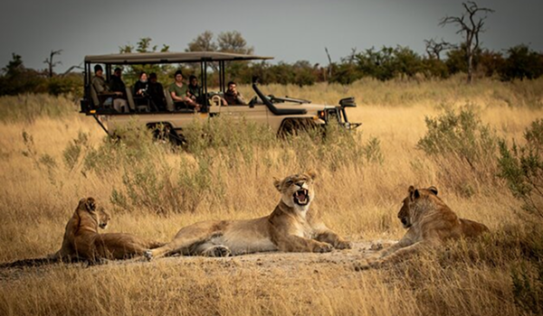 Pohľad na Zanzibar safari.